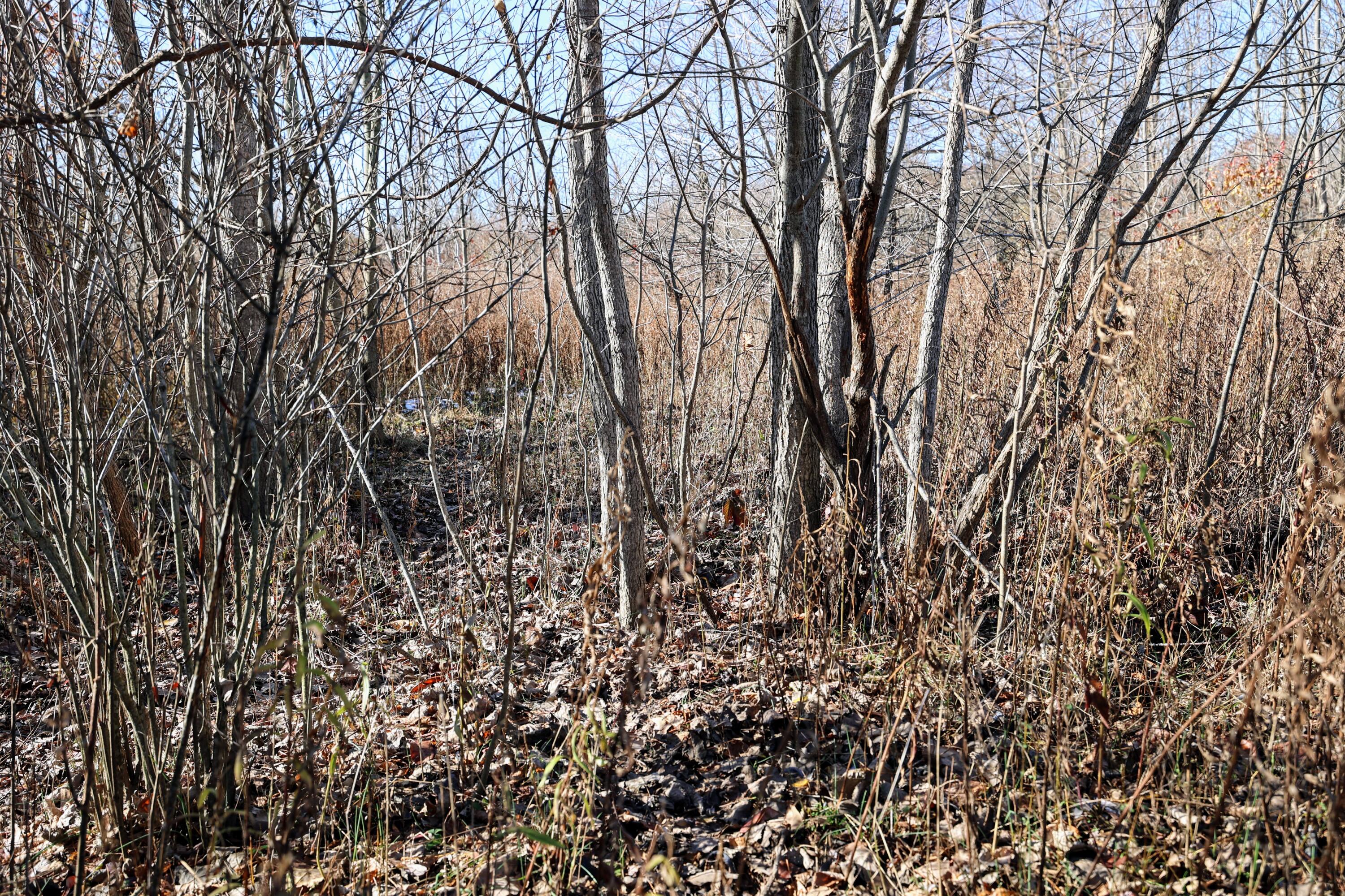 Vl 32nd Avenue Covert, MI 49043 - Photo 8 of 49 8