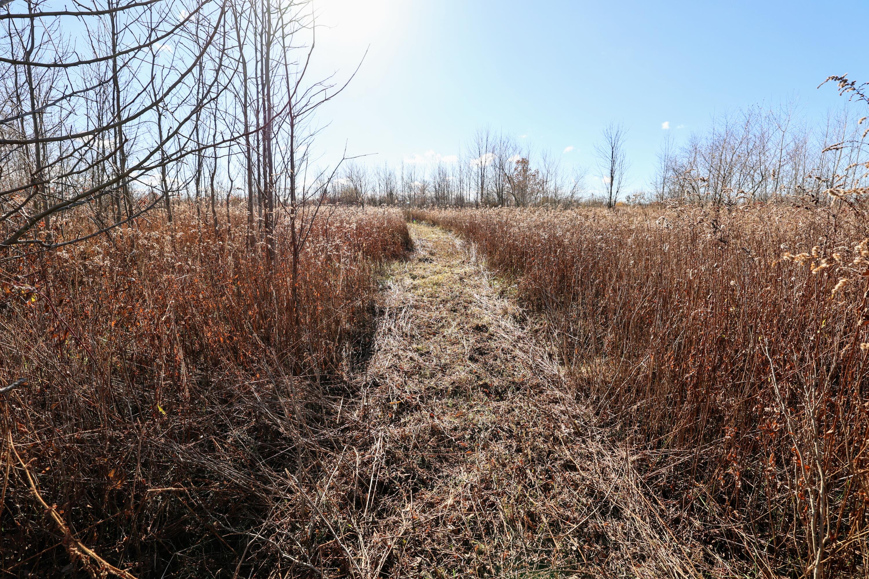 Vl 32nd Avenue Covert, MI 49043 - Photo 9 of 49 9