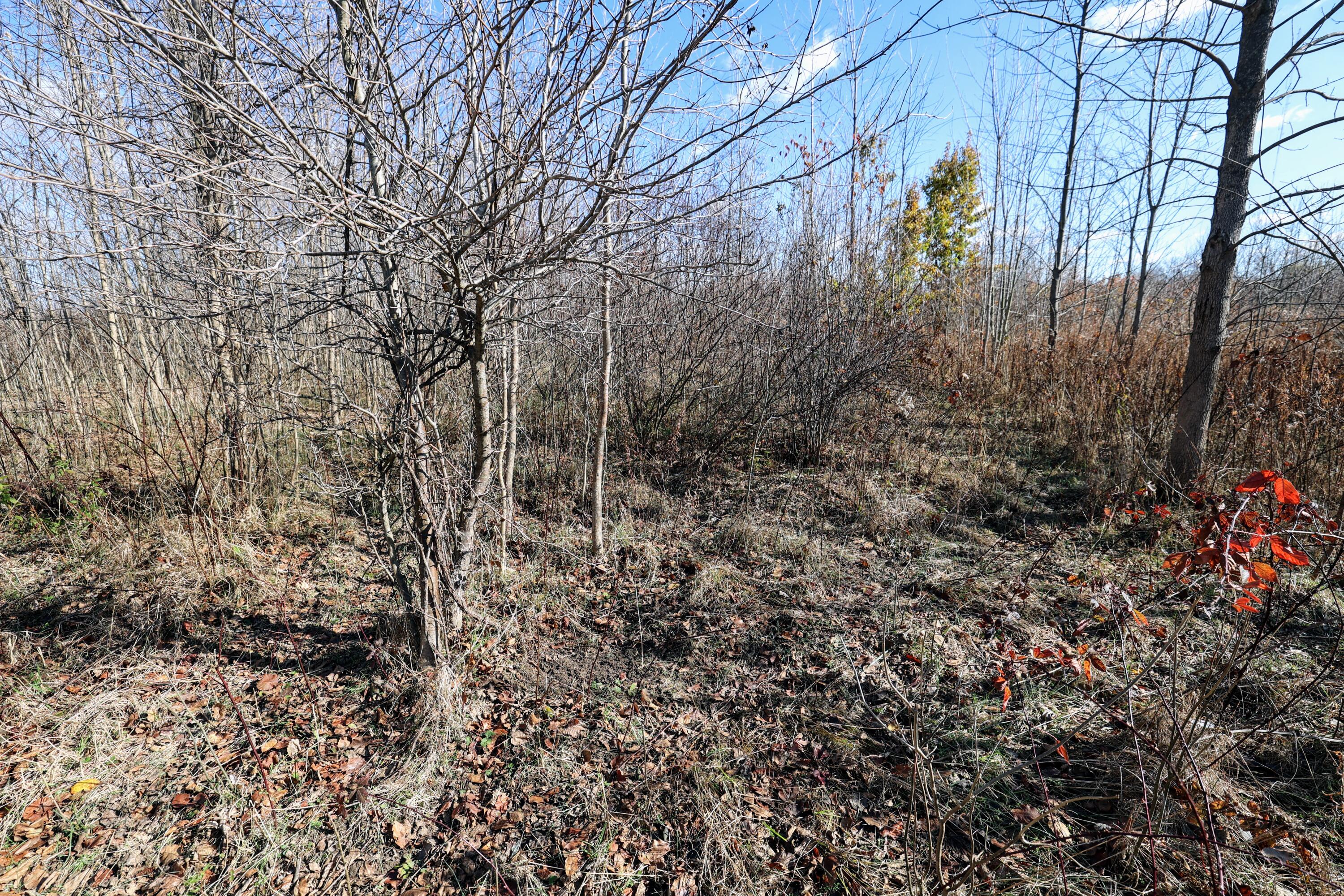 Vl 32nd Avenue Covert, MI 49043 - Photo 10 of 49 10