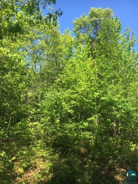 Lot 3-csm Simpson Lake Road Iron River, WI 54847 - Photo 3 of 9 Gallery Image 3