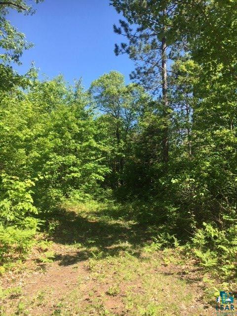 Lot 3-csm Simpson Lake Road Iron River, WI 54847 - Photo 5 of 9 Gallery Image 5