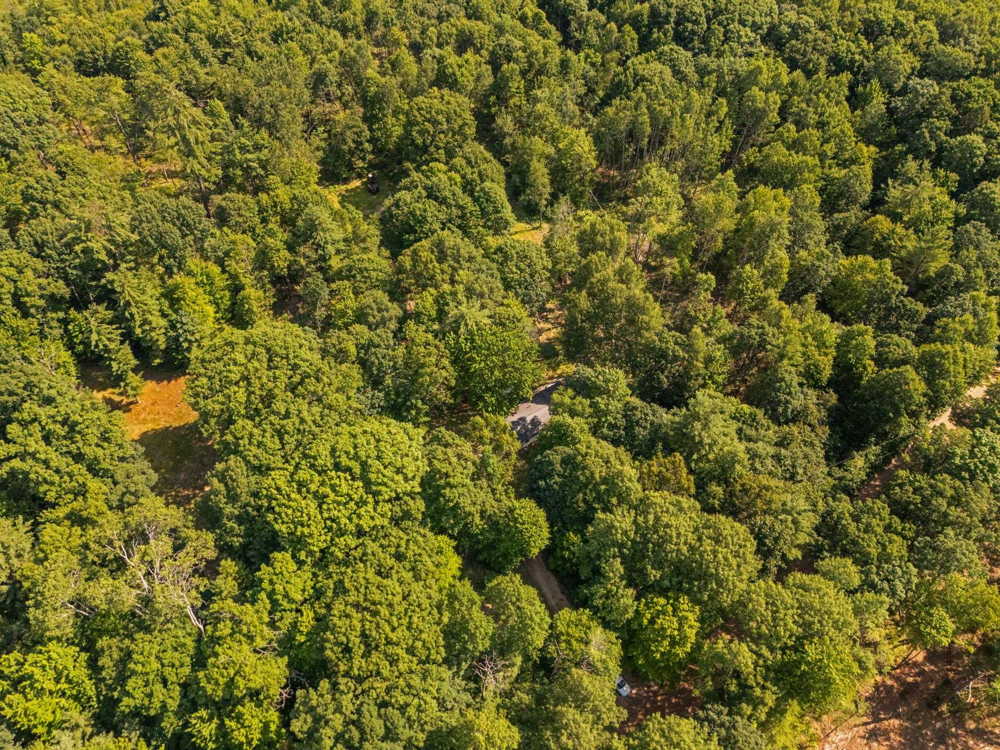 18150 Stronach Dam Road Wellston, MI 49689 - Photo 40 of 42 Gallery Image 40