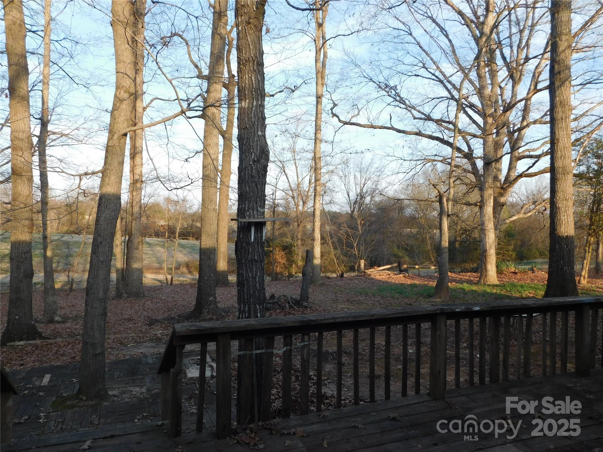 3028 Austin Chaney Road Monroe, NC 28110 - Photo 6 of 16 a view of a balcony with wooden fence