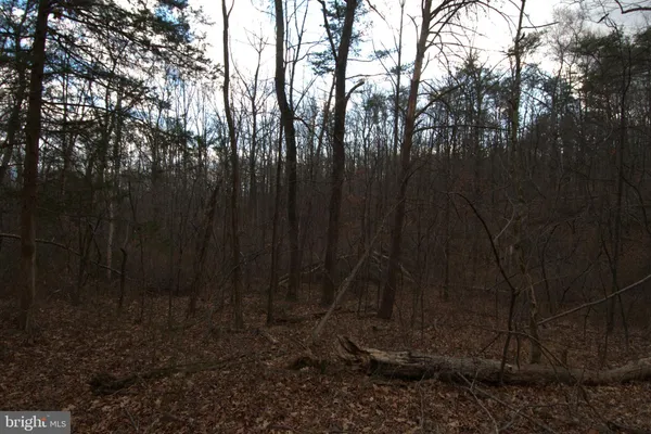 $46,550 | 3 Three Mile Bank Lane, Edinburg, VA 22824