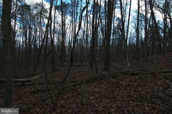 $46,550 | 3 Three Mile Bank Lane, Edinburg, VA 22824