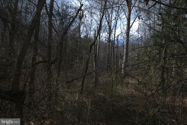 $46,550 | 3 Three Mile Bank Lane, Edinburg, VA 22824