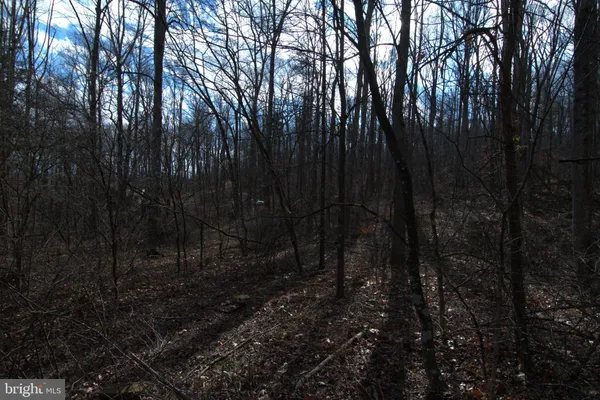 $46,550 | 3 Three Mile Bank Lane, Edinburg, VA 22824