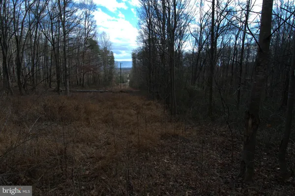 $46,550 | 3 Three Mile Bank Lane, Edinburg, VA 22824