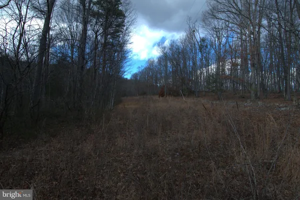 $46,550 | 3 Three Mile Bank Lane, Edinburg, VA 22824