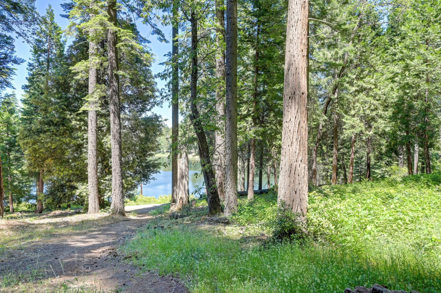 6237 Drop Off Road Pollock Pines, CA 95726 - Photo 62 of 67