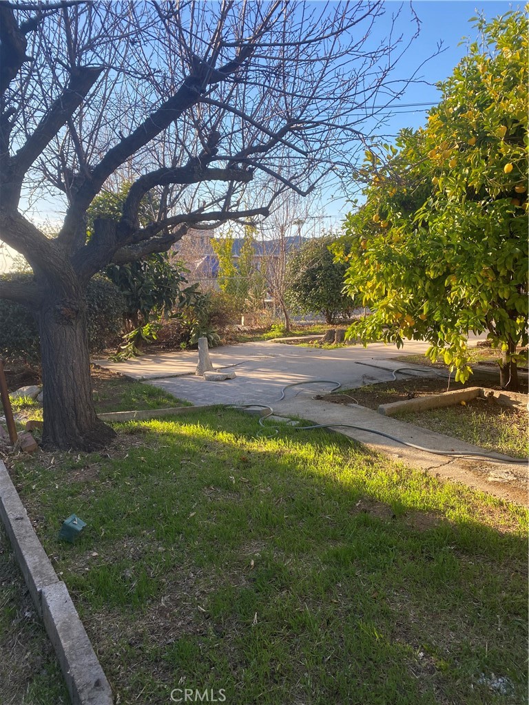11745 Bryant Street Yucaipa, CA 92399 - Photo 28 of 28 a view of yard with green space