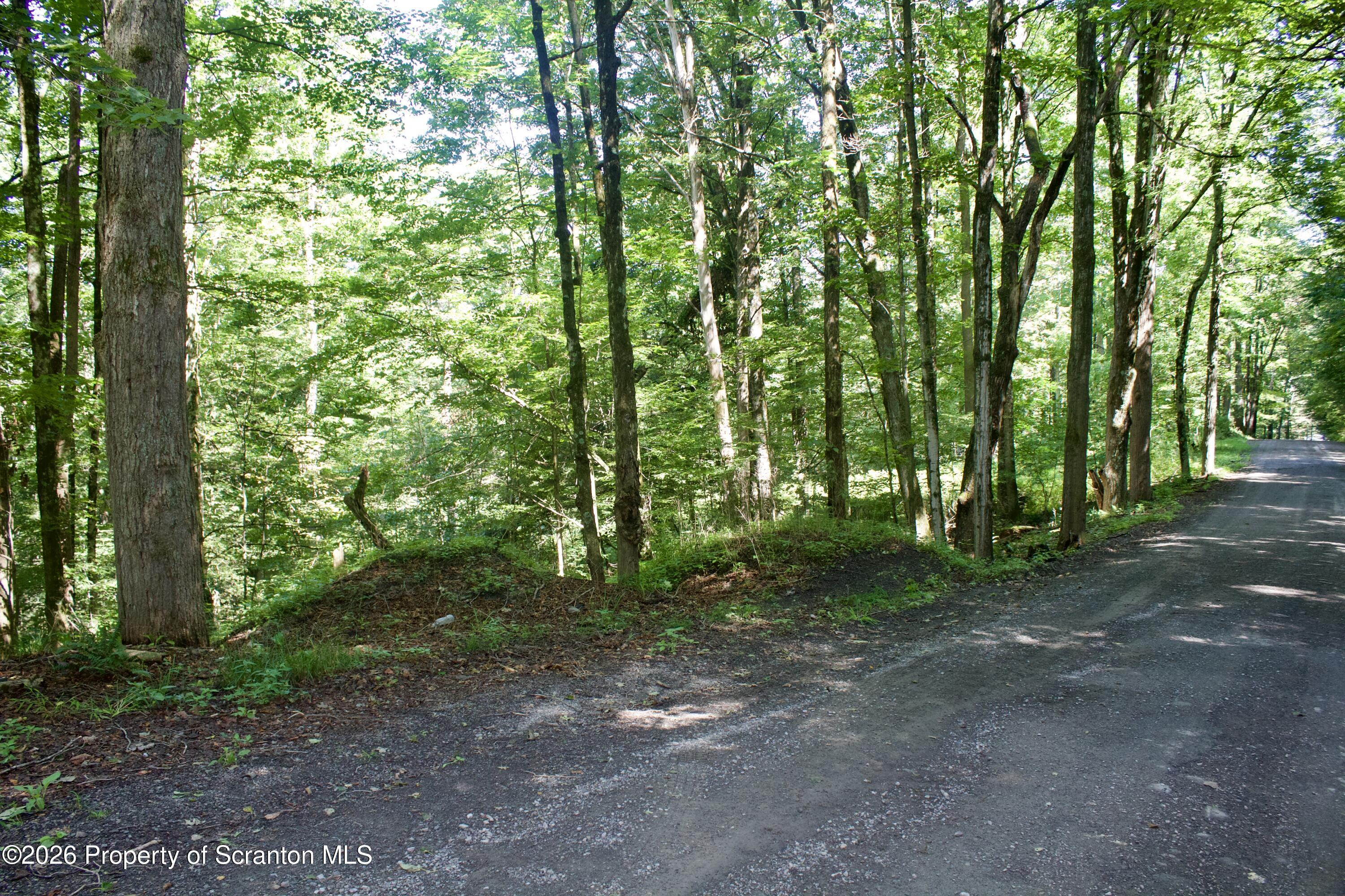 2000 Belcher Road Union Dale, PA 18470 - Photo 15 of 28 IMG_4641