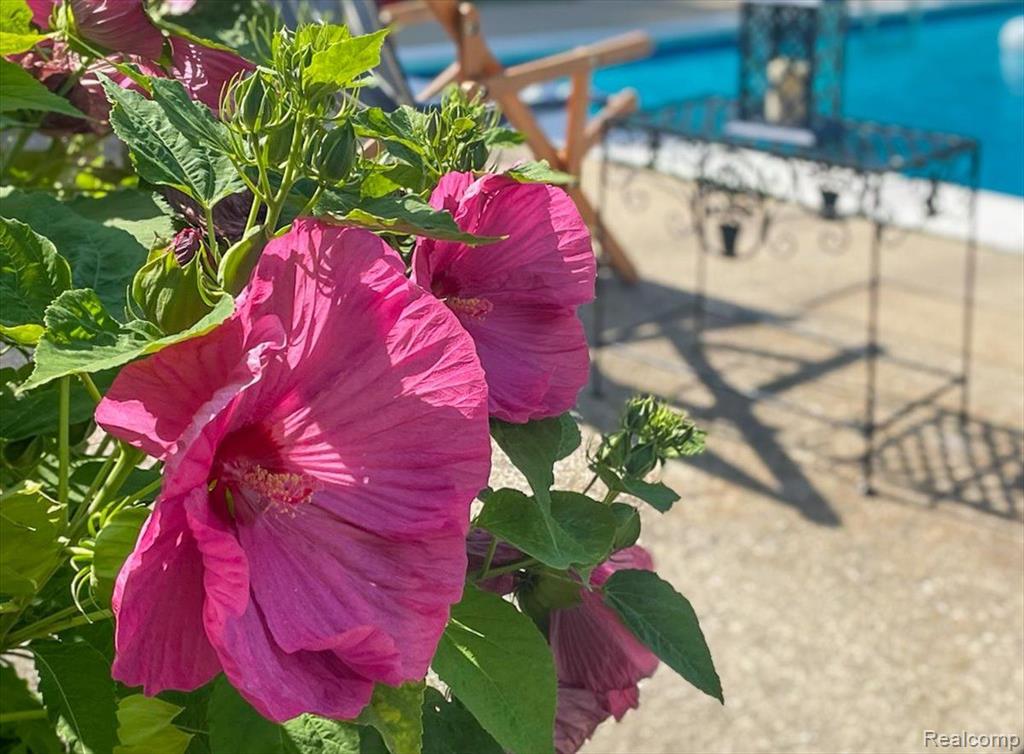 1933 John R Road Rochester Hills, MI 48307 - Photo 9 of 60