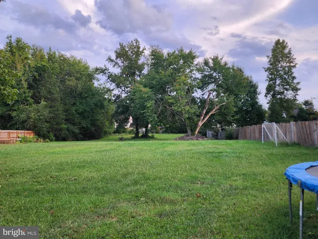 a view of a garden with trees