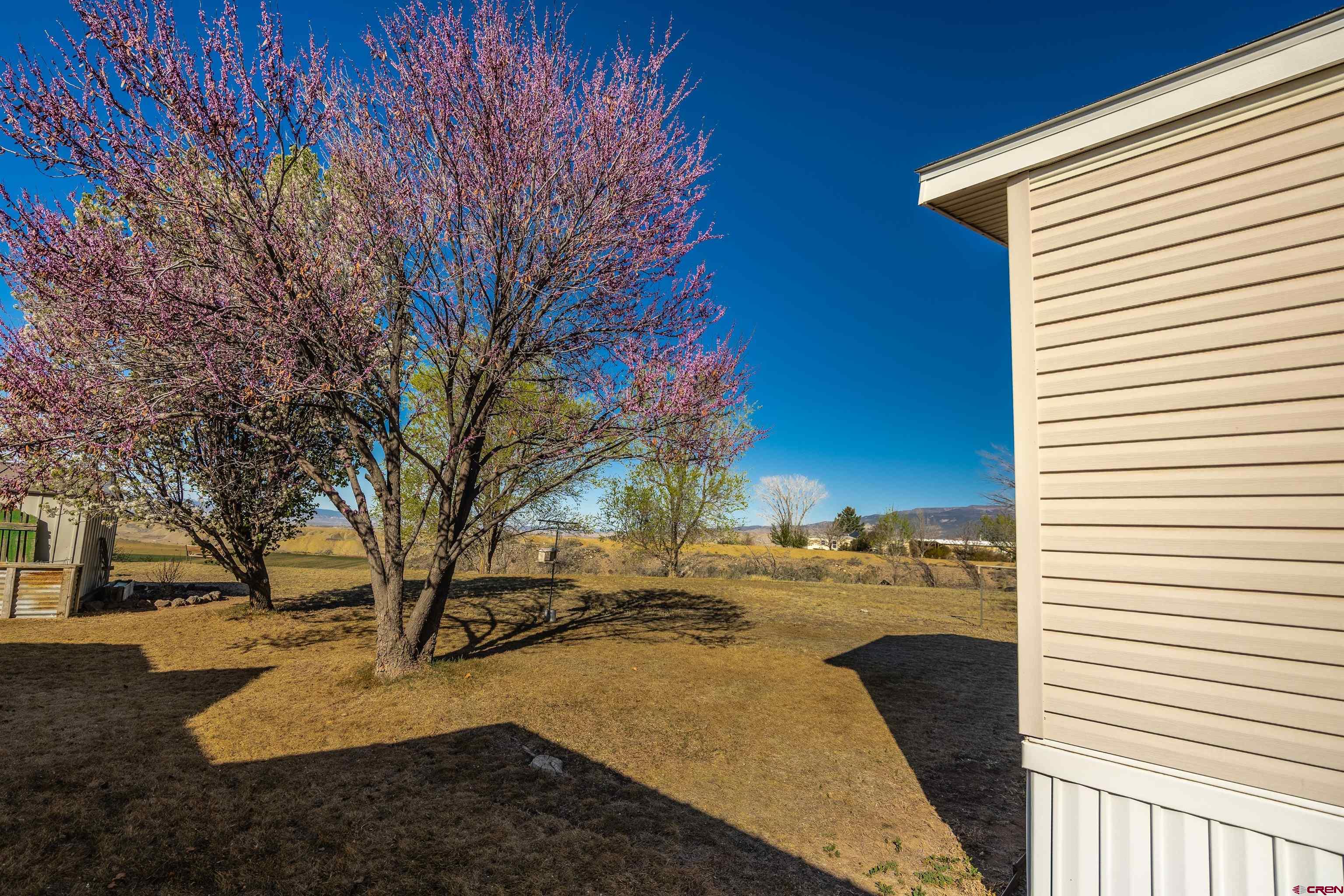 9713 Kebler Road, Unit 28 Austin, CO 81410 - Photo 21 of 25 a view of open space with trees