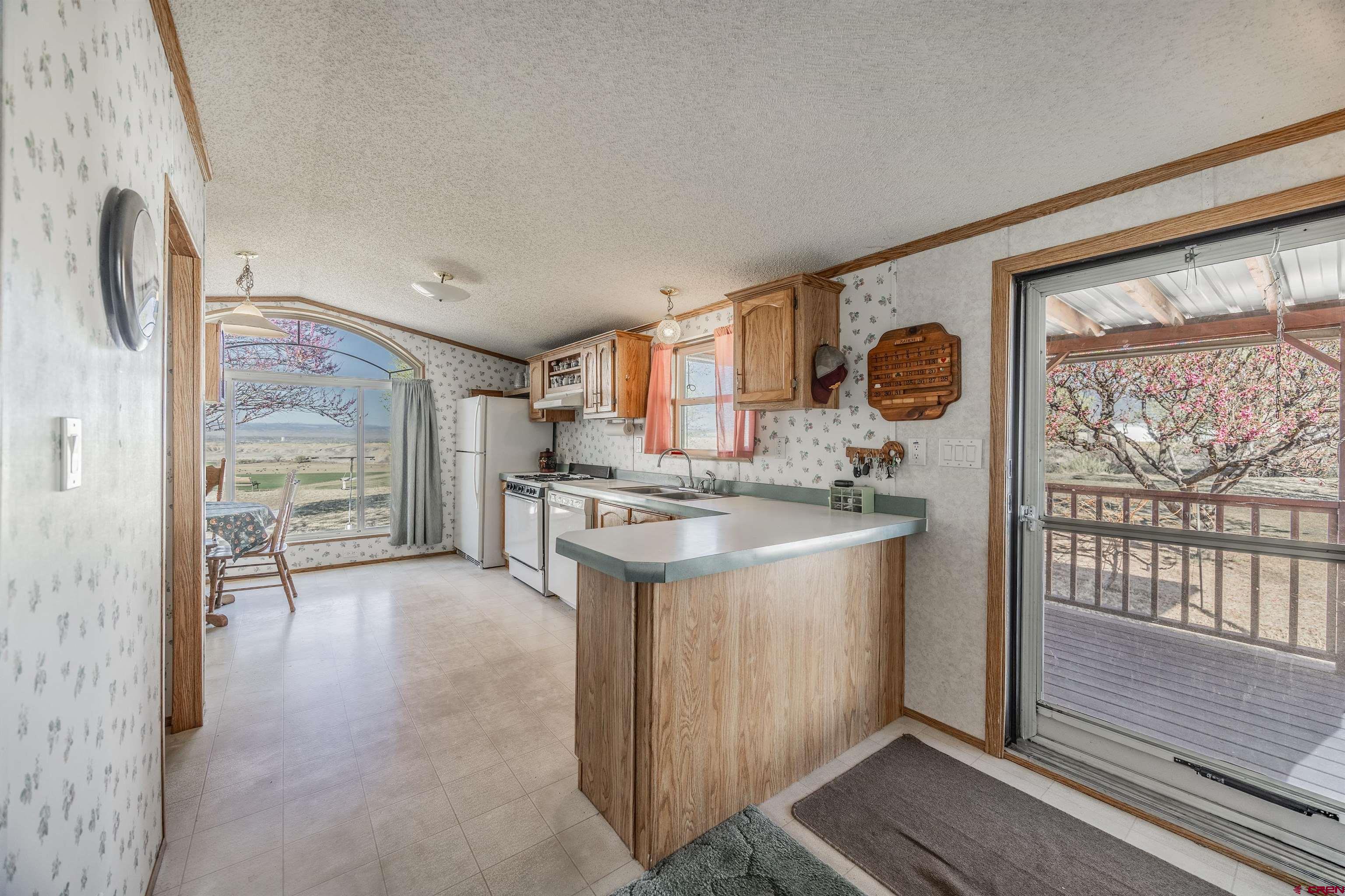 9713 Kebler Road, Unit 28 Austin, CO 81410 - Photo 7 of 25 a kitchen with stainless steel appliances granite countertop a stove a sink and a refrigerator