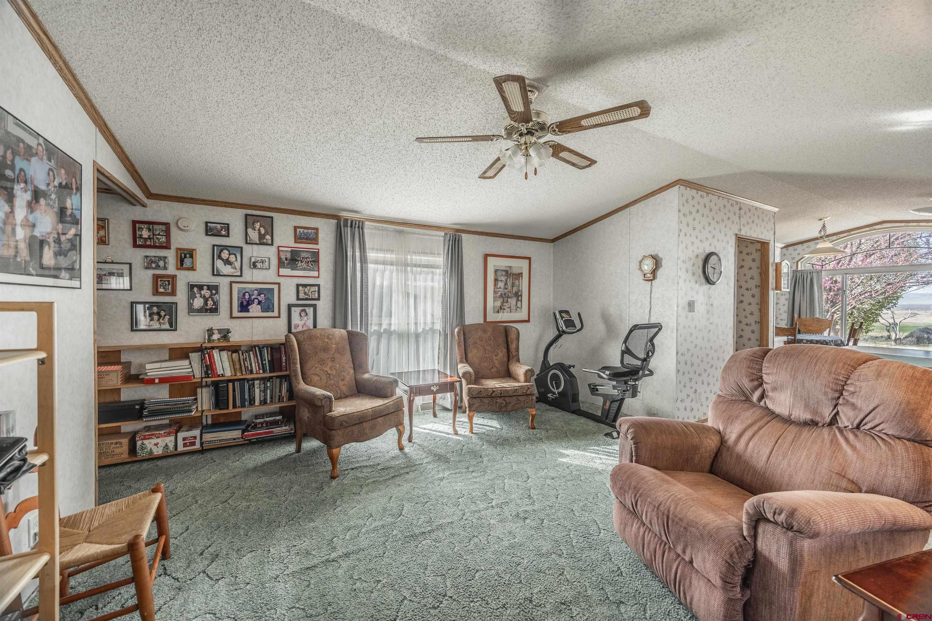 9713 Kebler Road, Unit 28 Austin, CO 81410 - Photo 10 of 25 a living room with furniture and a book shelf