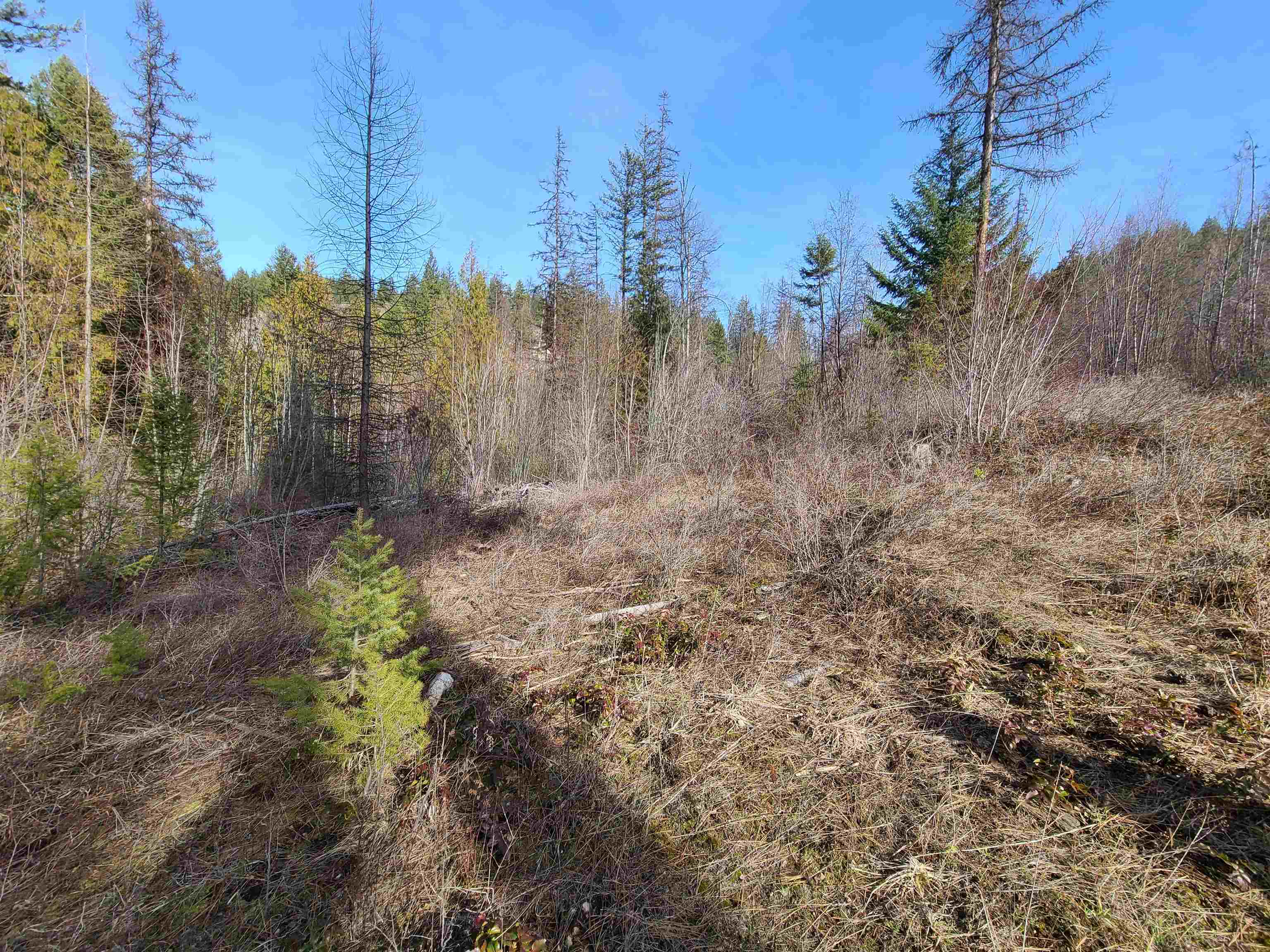 2584 F Bridgeman-Rettinger Road Kettle Falls, WA 99141 - Photo 17 of 21