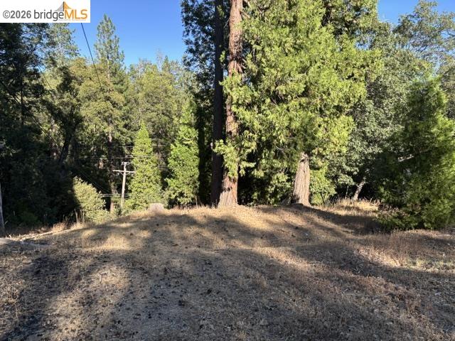 Wildcat Ridge Sonora, CA 95370 - Photo 3 of 6 Gallery Image 3