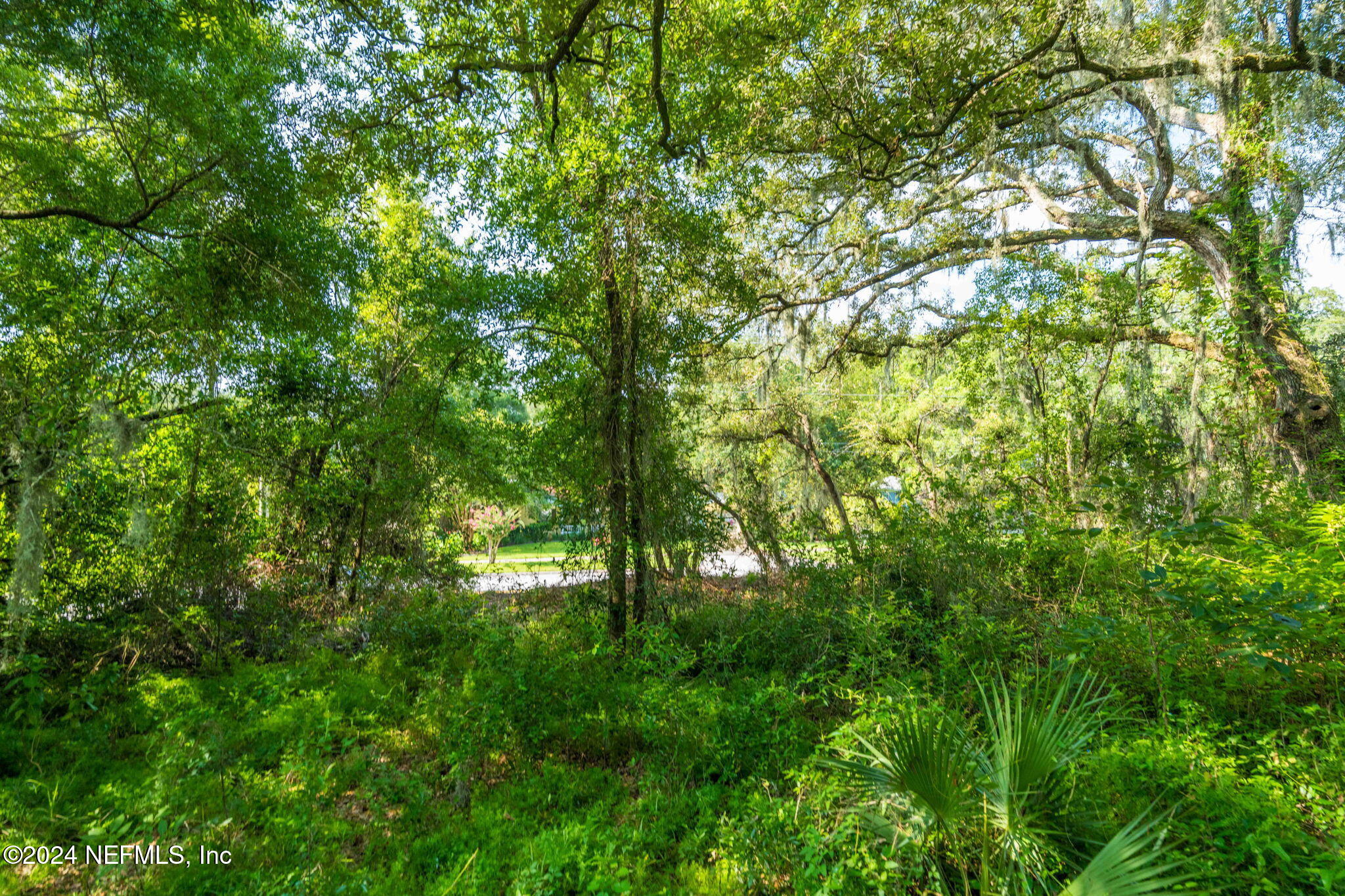 0 Atlantic Avenue Fernandina Beach, FL 32034 - Photo 18 of 37 a view of a lush green forest
