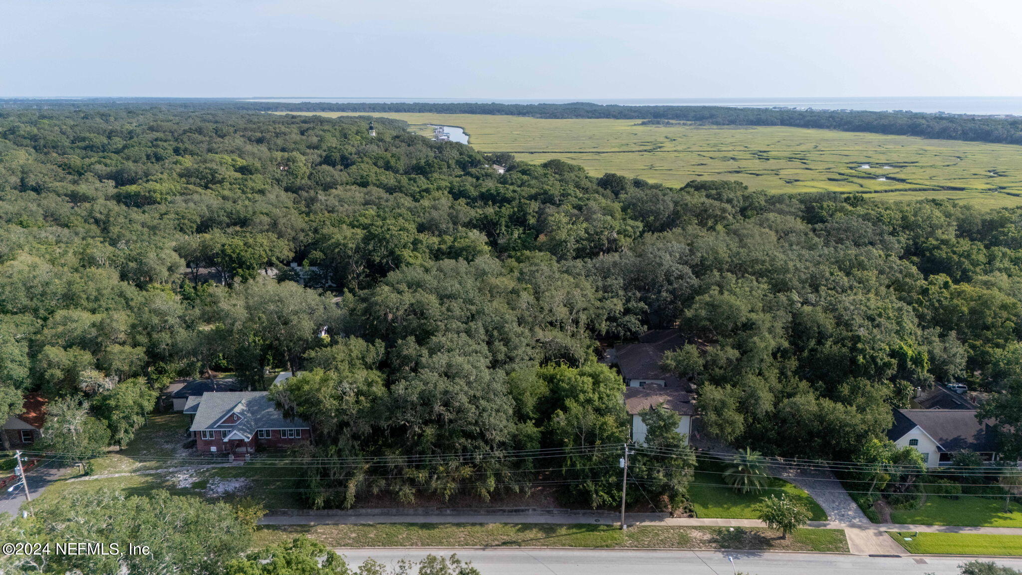 0 Atlantic Avenue Fernandina Beach, FL 32034 - Photo 19 of 37 an aerial view of ocean and trees