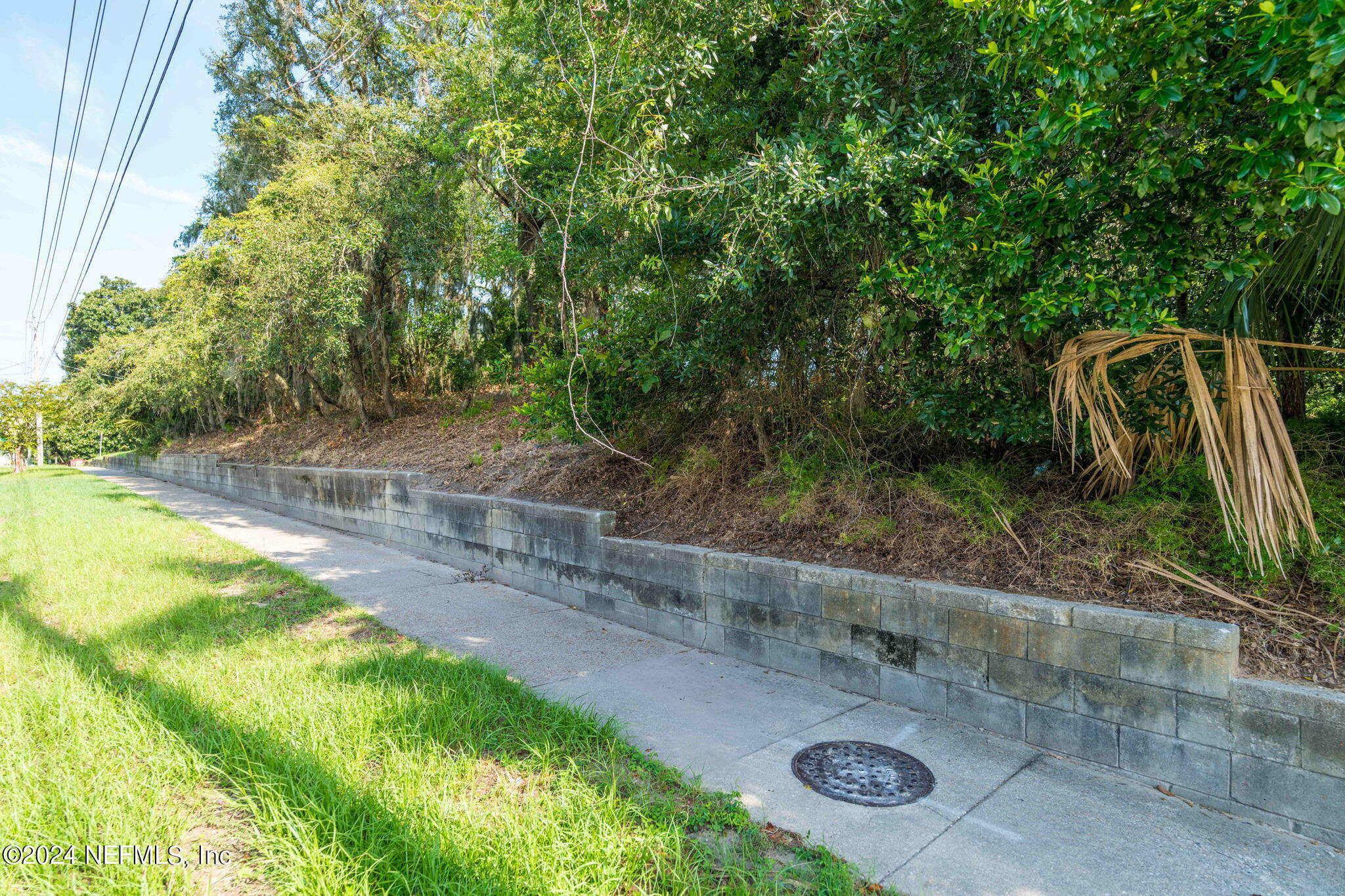 0 Atlantic Avenue Fernandina Beach, FL 32034 - Photo 2 of 37 a view of backyard with green space