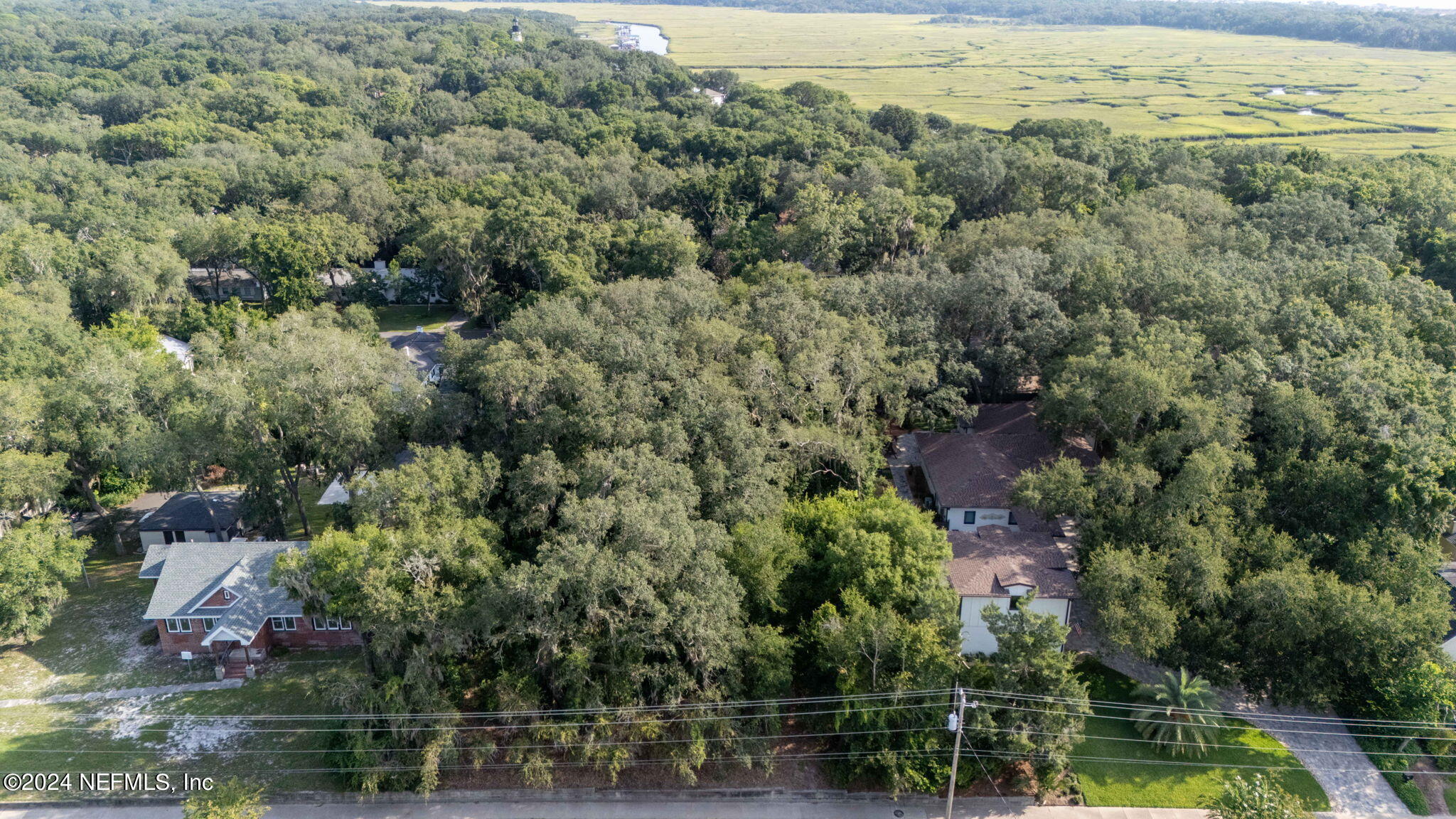 0 Atlantic Avenue Fernandina Beach, FL 32034 - Photo 37 of 37 an aerial view of residential houses with outdoor space and swimming pool