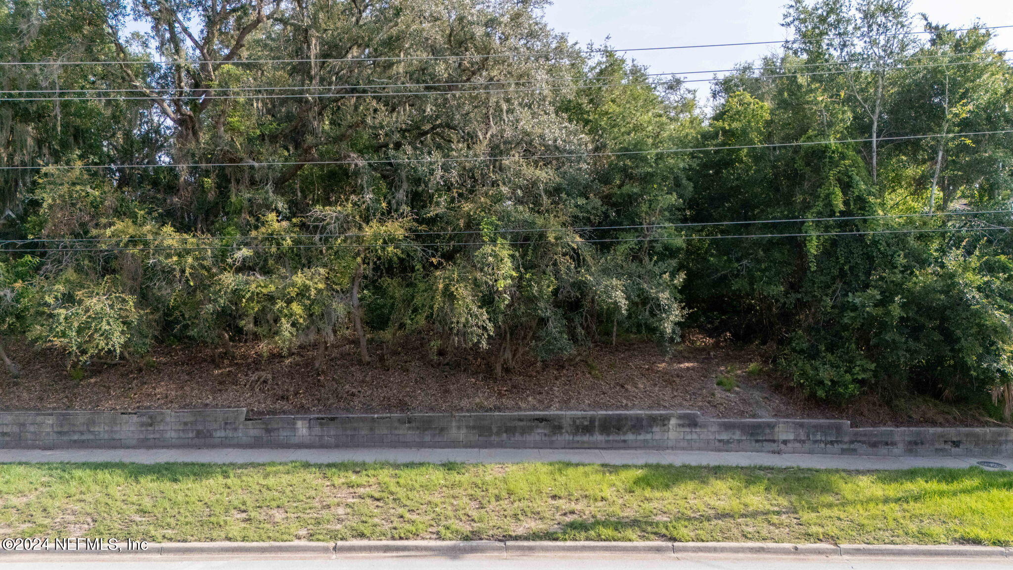 0 Atlantic Avenue Fernandina Beach, FL 32034 - Photo 4 of 37 a backyard of a house with lots of green space