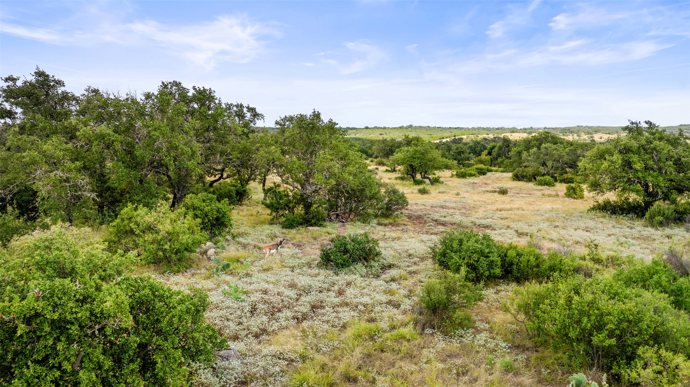 Lot 37 Vista Rdg Drive Round Mountain, TX 78663 - Photo 14 of 30 View of undeveloped land with rural landscape