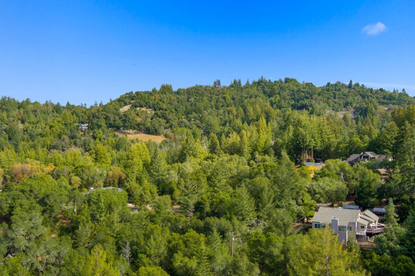 720 Fern Ridge Felton, CA 95018 - Photo 44 of 47 a view of a city with lush green forest