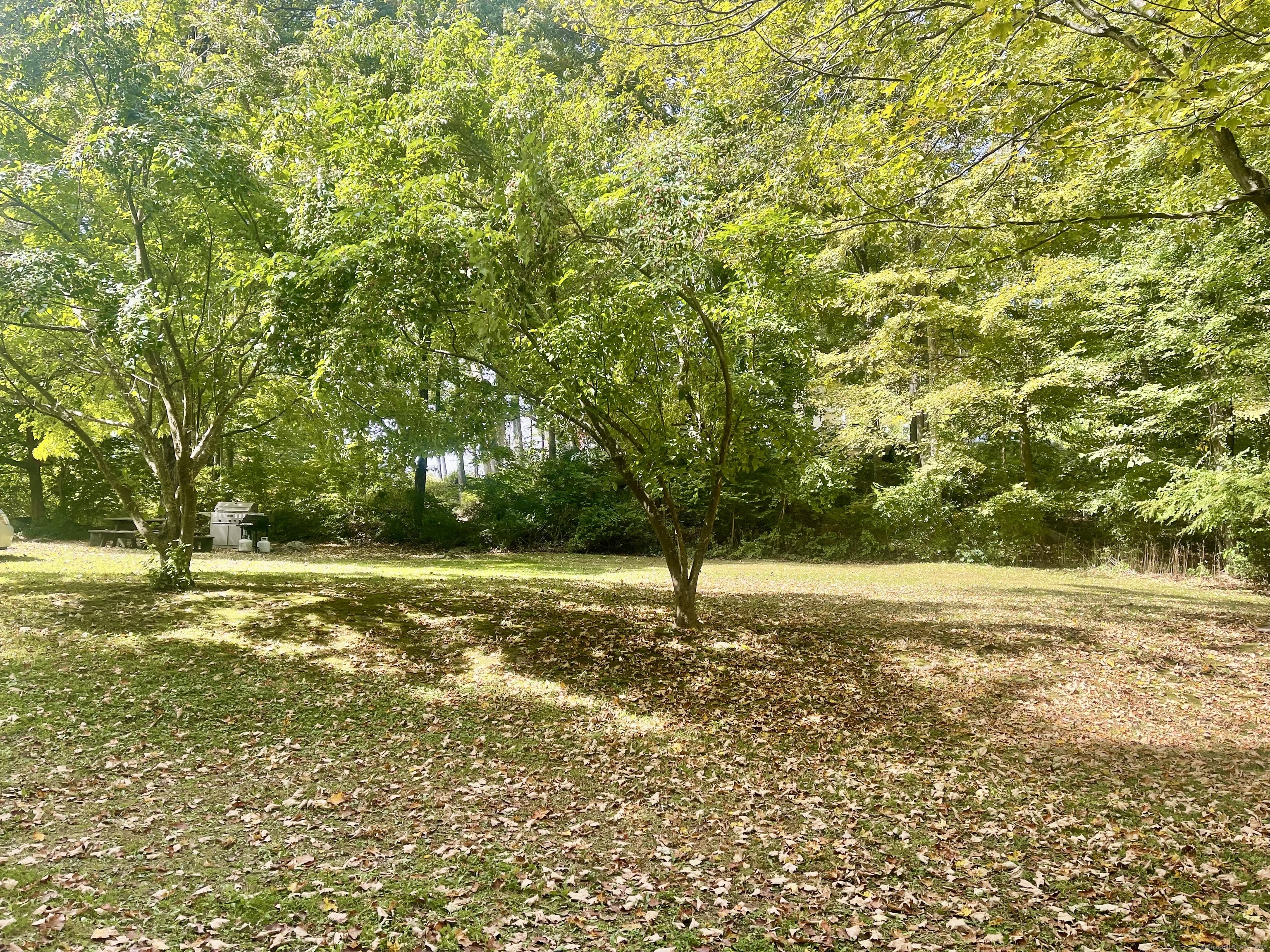 66 Portland Avenue Redding, CT 06896 - Photo 4 of 24 Extensive backyard with room for a barn and or a garage