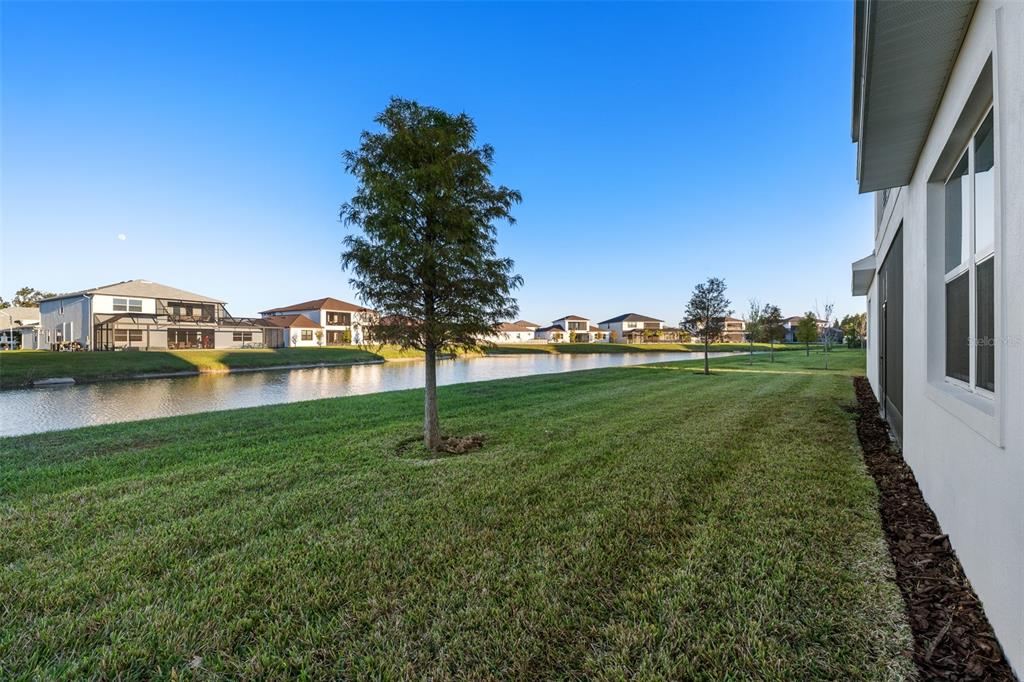 9185 Sanders Tree Loop Wesley Chapel, FL 33545 - Photo 36 of 47 a view of a garden with houses