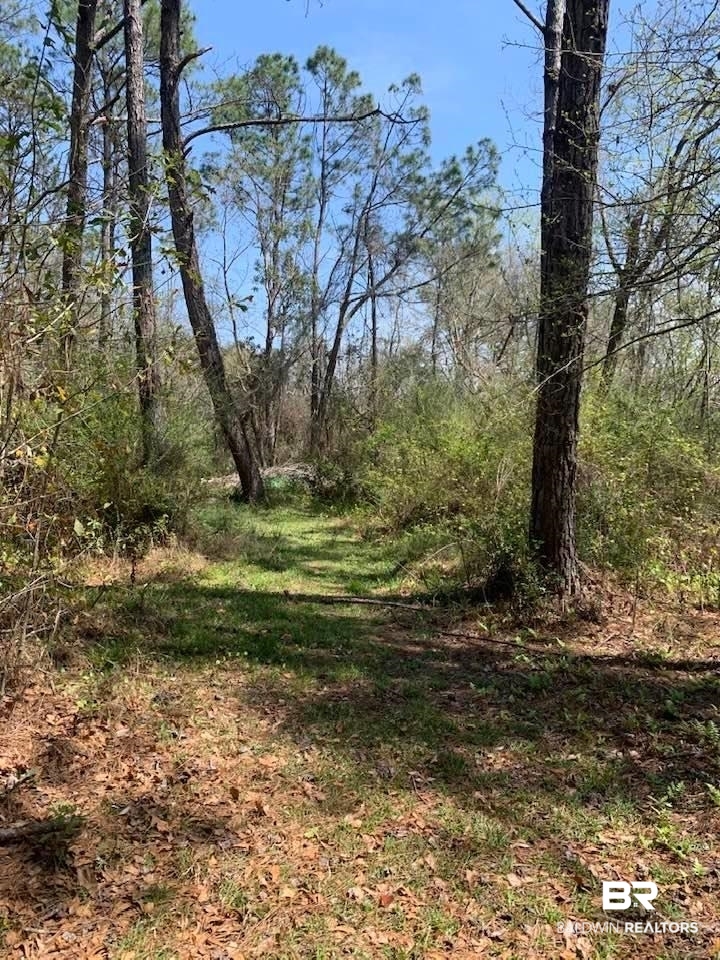 26264 Feely Road Elberta, AL 36530 - Photo 10 of 30 Gallery Image 10