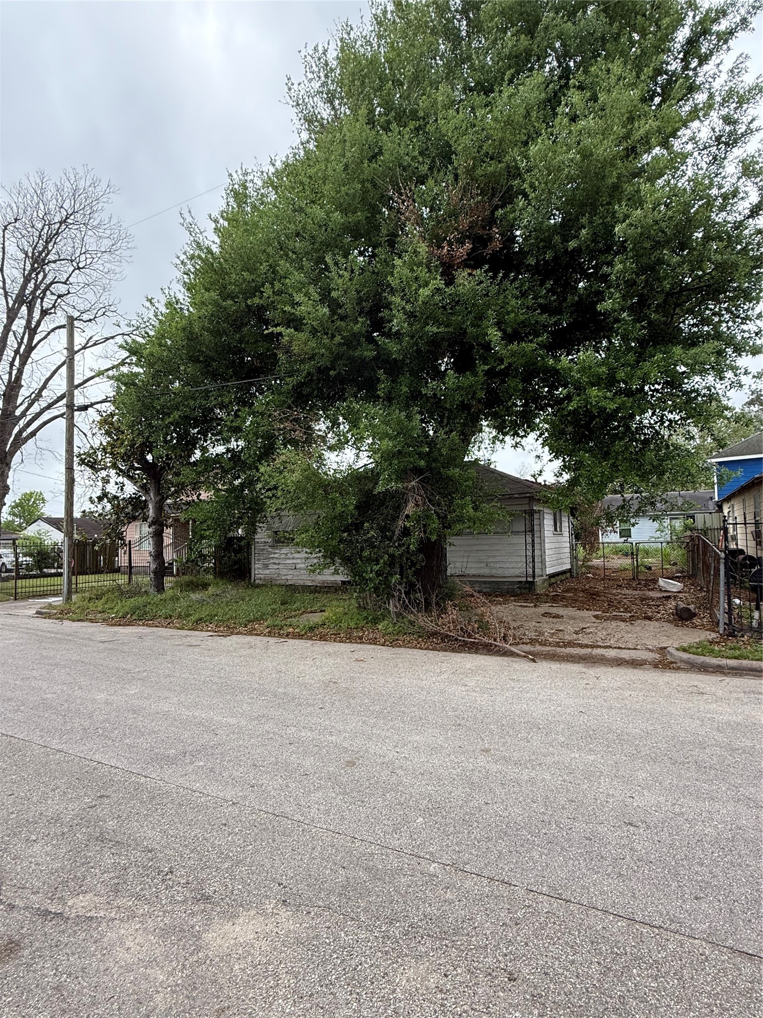 5315 Terry Street Houston, TX 77009 - Photo 3 of 14