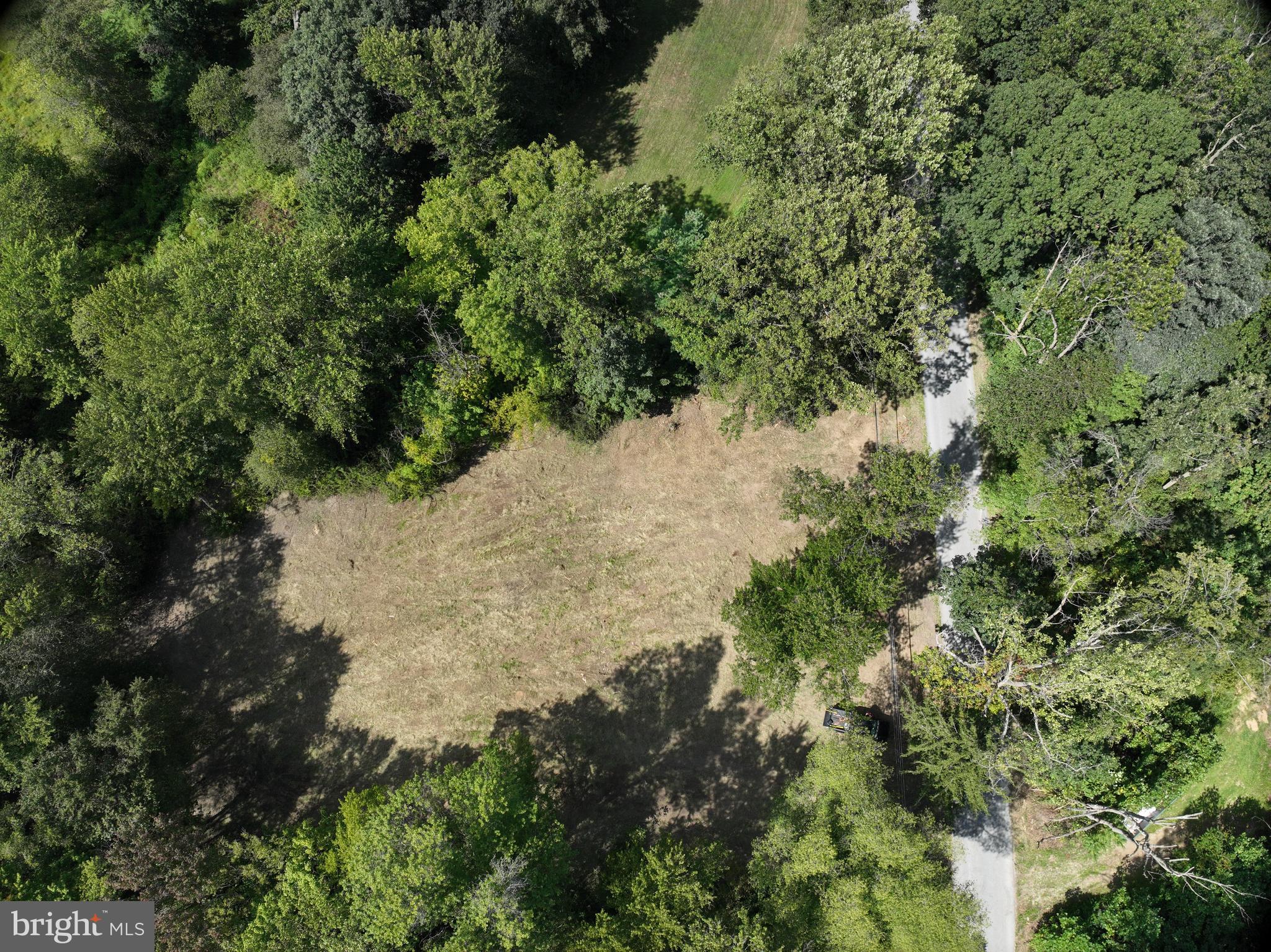 317 Compass Road Parkesburg, PA 19365 - Photo 11 of 23 a view of a forest with a tree
