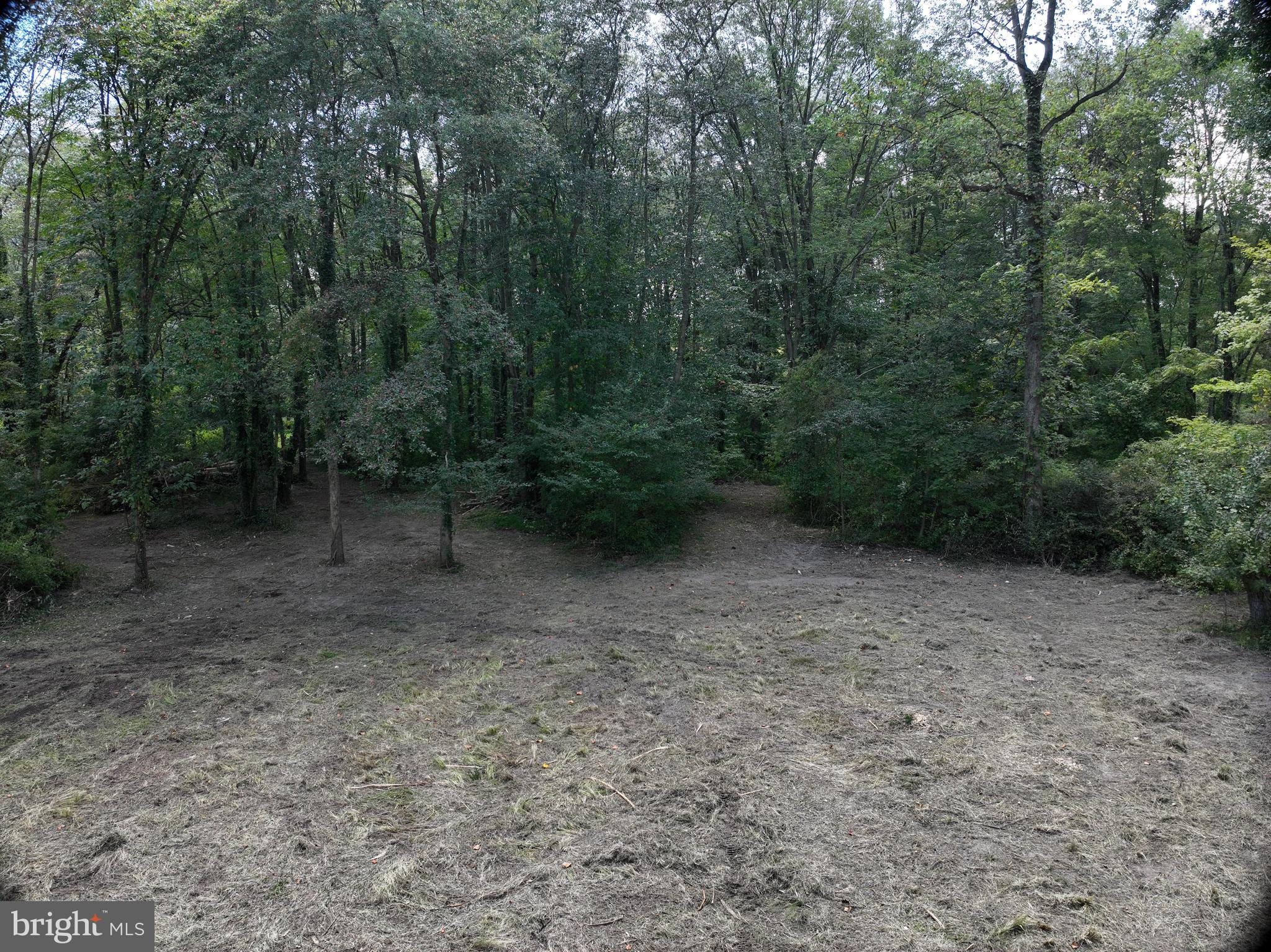 317 Compass Road Parkesburg, PA 19365 - Photo 14 of 23 a view of a forest with trees in the background