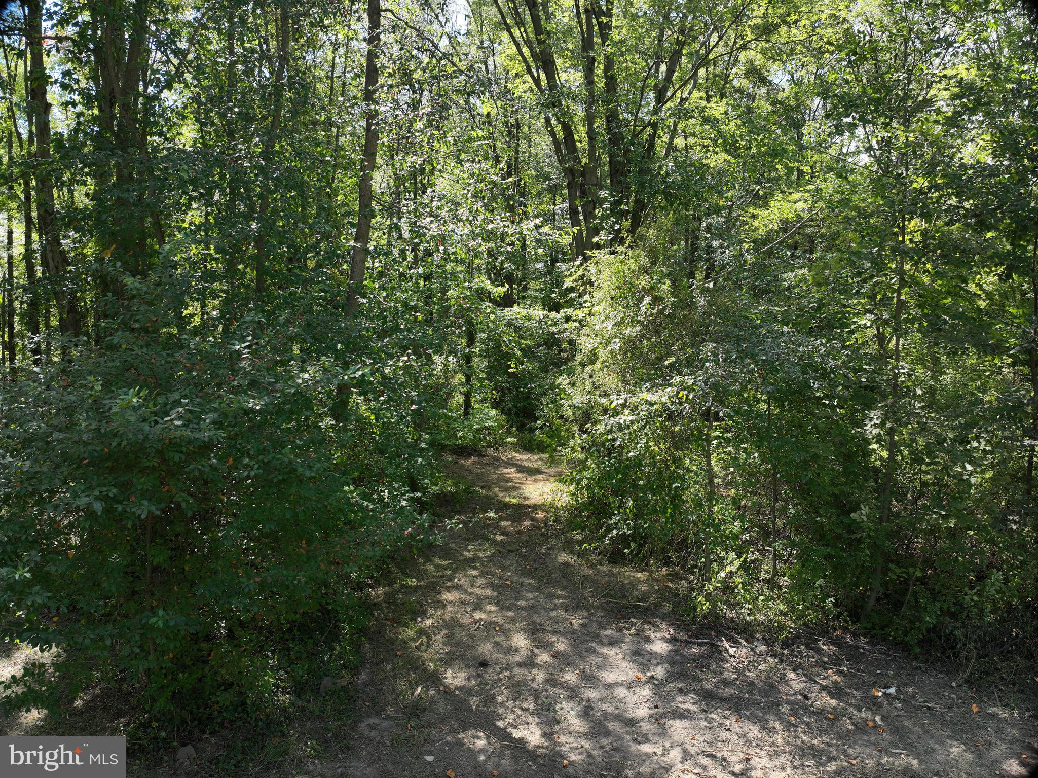 317 Compass Road Parkesburg, PA 19365 - Photo 16 of 23 a view of a lush green forest