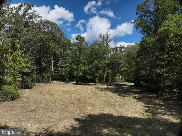 a view of dirt yard with a large tree