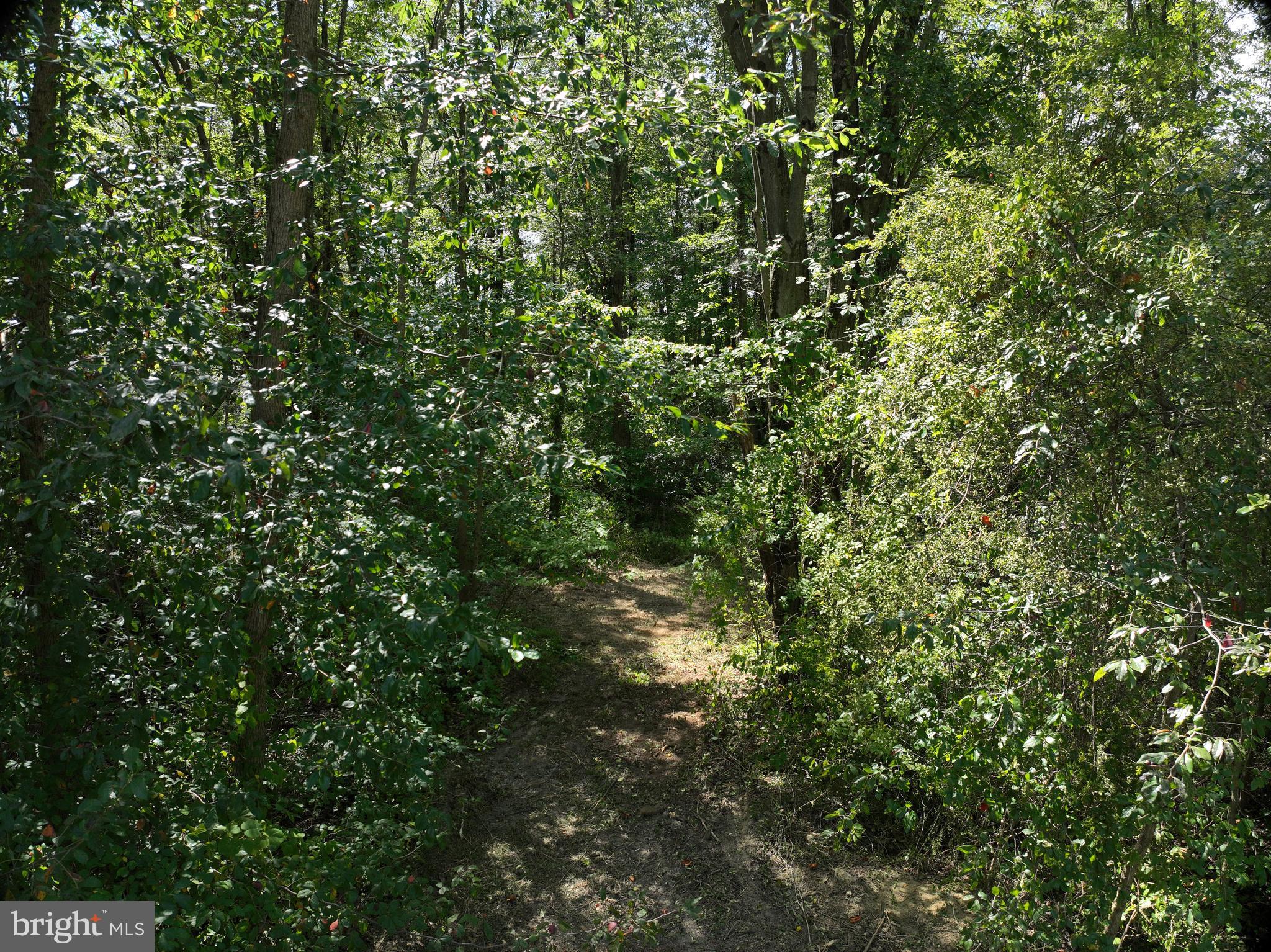 317 Compass Road Parkesburg, PA 19365 - Photo 18 of 23 a view of a tree