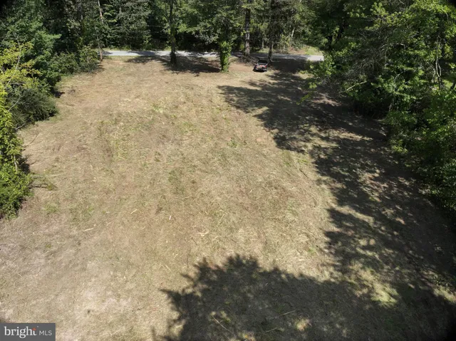 a view of a yard with a tree