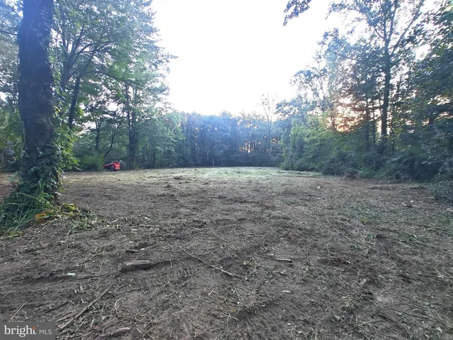 a view of outdoor space with trees all around