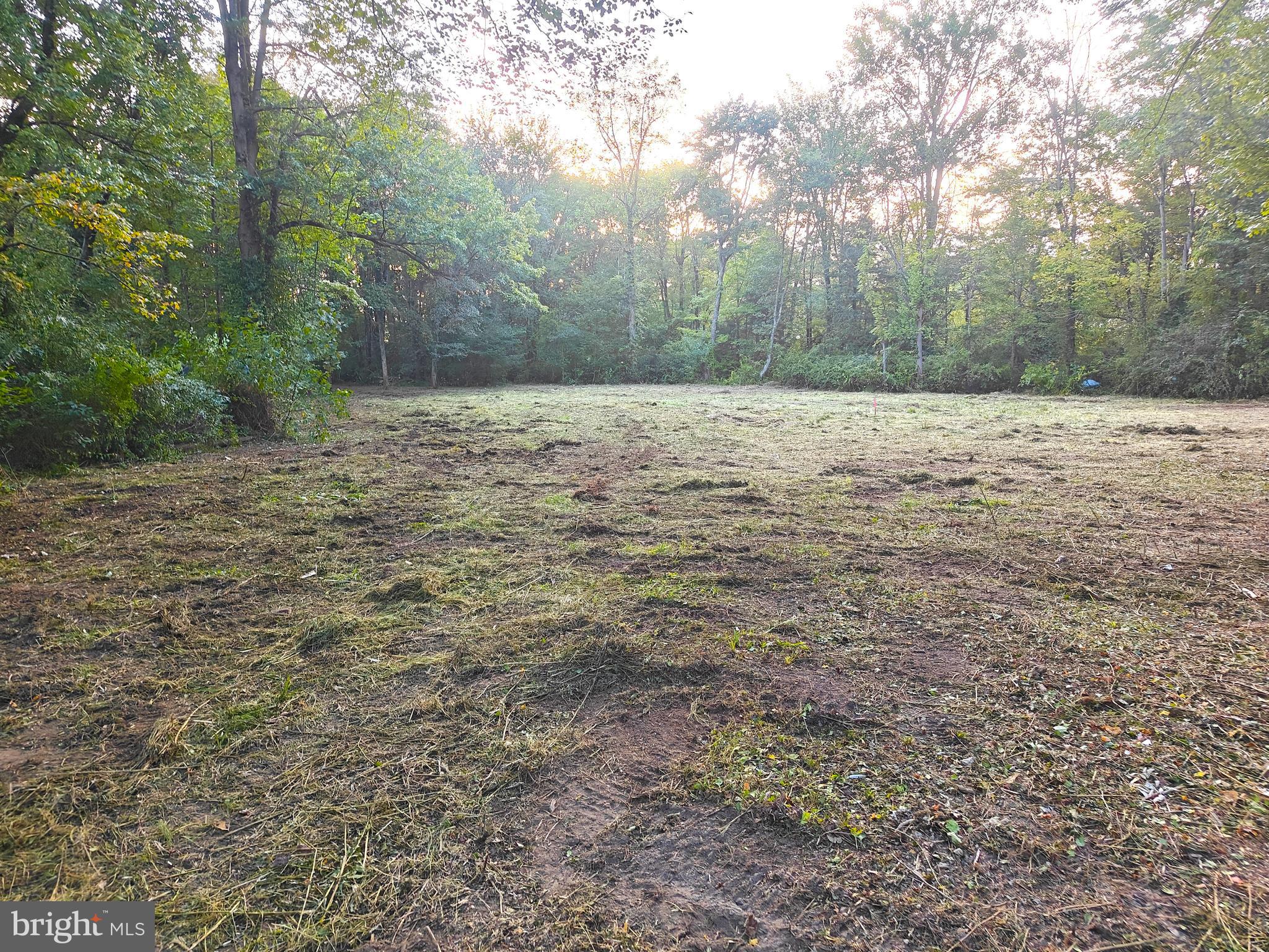 317 Compass Road Parkesburg, PA 19365 - Photo 22 of 23 a view of a yard with a trees