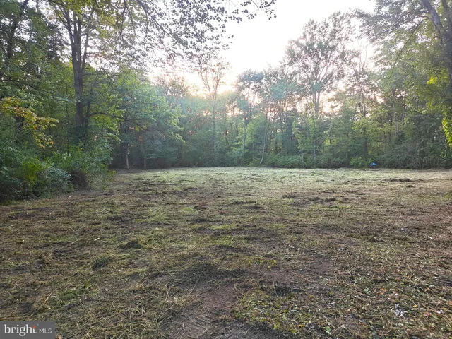 a big yard with lots of green space and trees