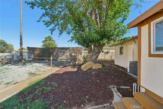 a view of a yard with plants and a large tree
