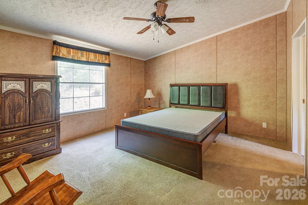 248 Blackberry Inn Road Weaverville, NC 28787 - Photo 12 of 21