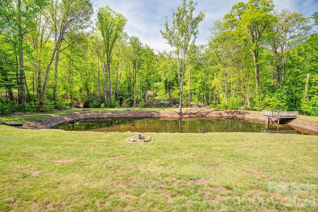 248 Blackberry Inn Road Weaverville, NC 28787 - Photo 19 of 21