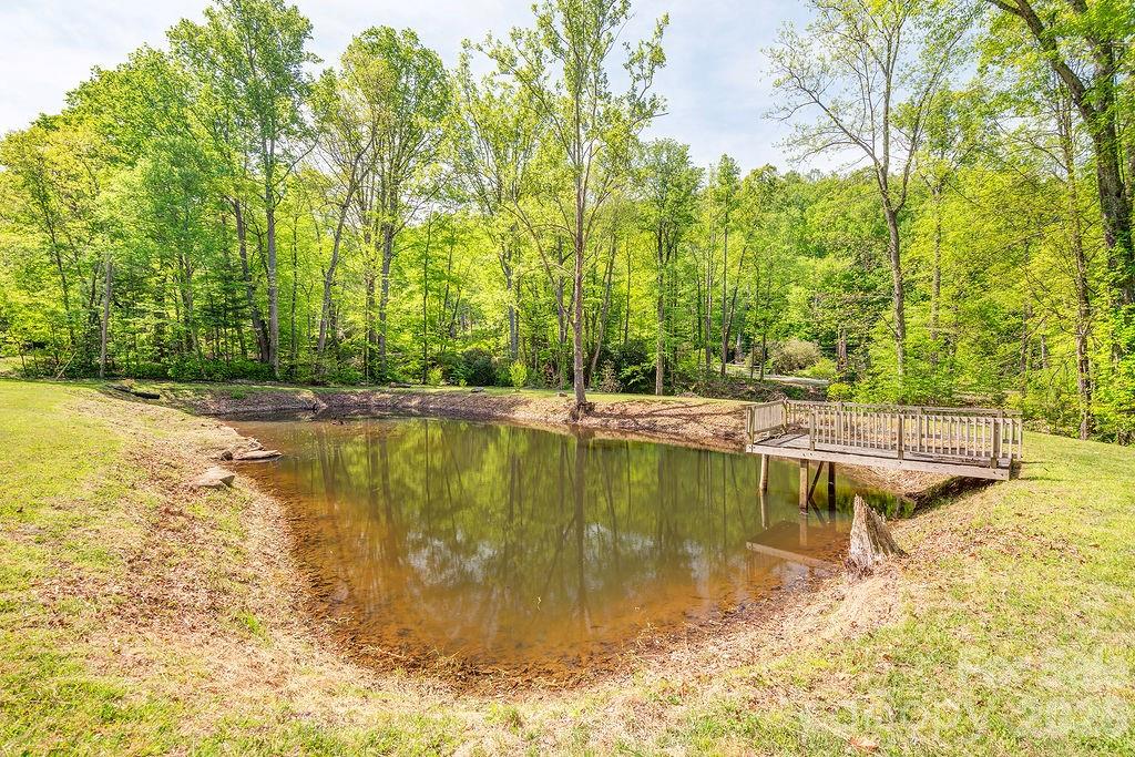 248 Blackberry Inn Road Weaverville, NC 28787 - Photo 20 of 21