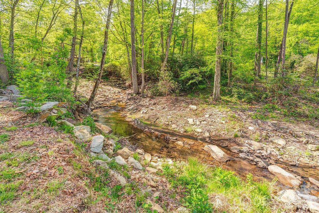 248 Blackberry Inn Road Weaverville, NC 28787 - Photo 21 of 21