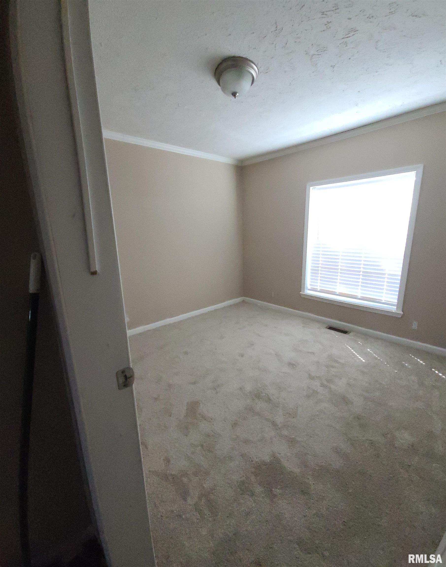 16035 Caplinger Pond Road Marion, IL 62959 - Photo 14 of 17