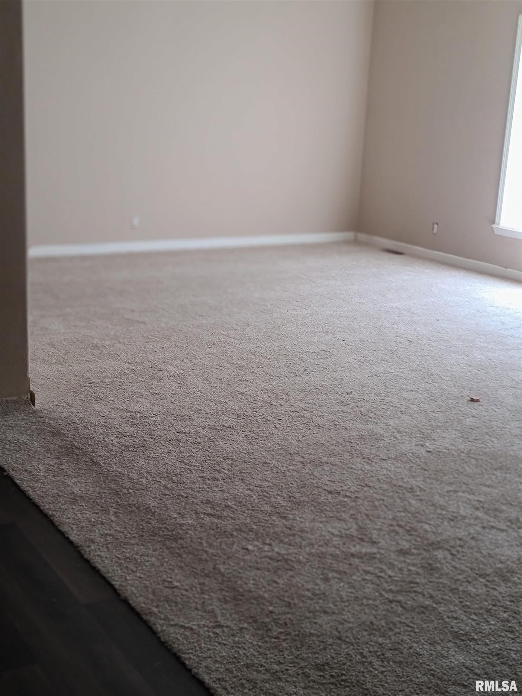 16035 Caplinger Pond Road Marion, IL 62959 - Photo 10 of 17